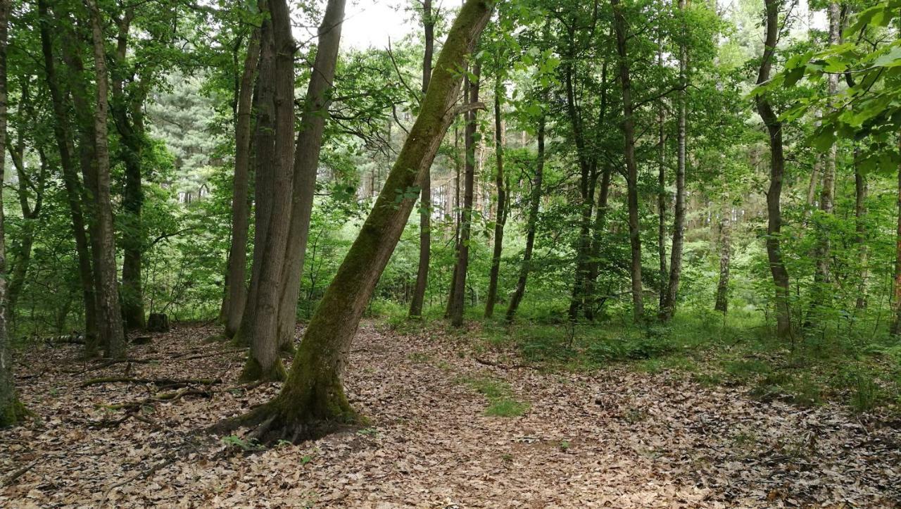 Ferienhaus Dora Villa Rechlin Kültér fotó