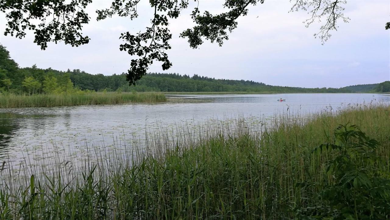 Ferienhaus Dora Villa Rechlin Kültér fotó